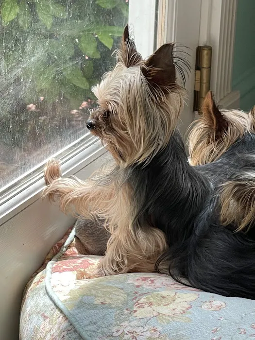 Paris Veterinary Clinic Picture 2