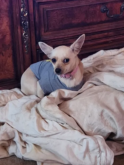 Paris Veterinary Clinic Picture 5