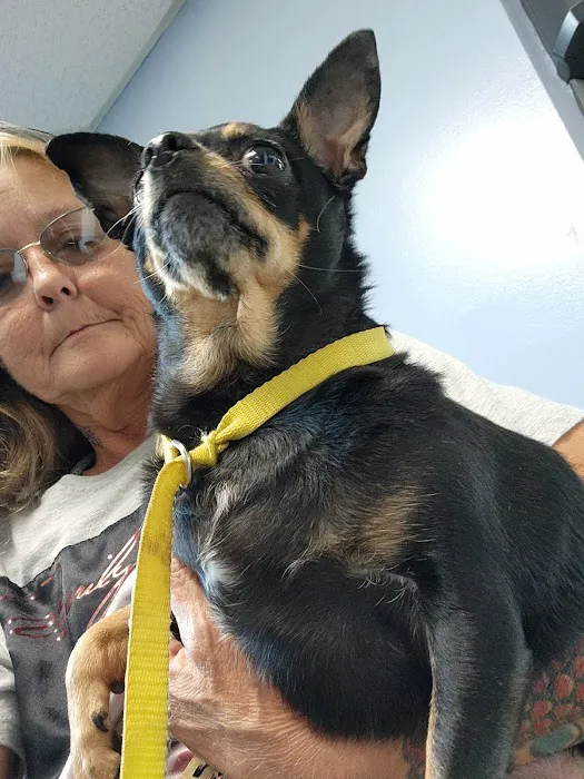 Paris Veterinary Clinic Picture 4