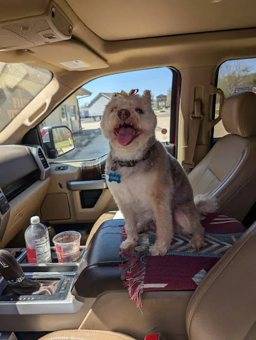 Paris Veterinary Clinic Picture 6