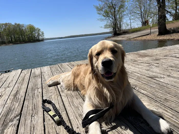 Paris Veterinary Clinic Picture 7