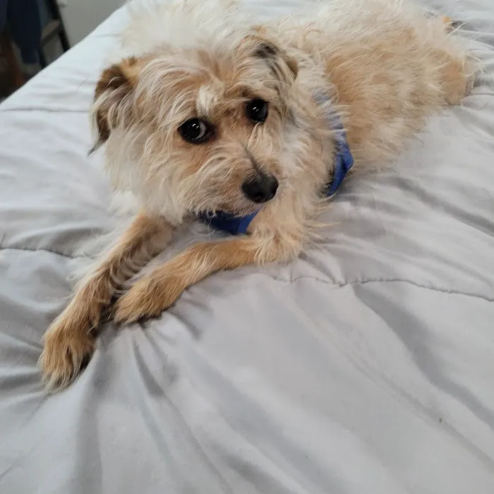 Paris Veterinary Clinic Picture 9