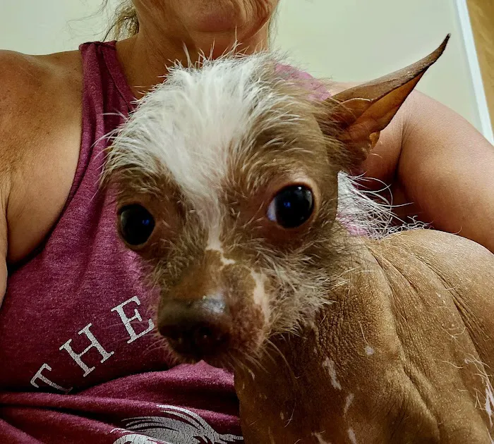 Paris Veterinary Clinic Picture 10