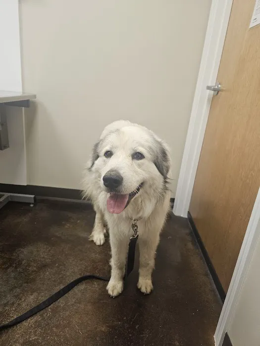 Paris Veterinary Clinic Picture 8