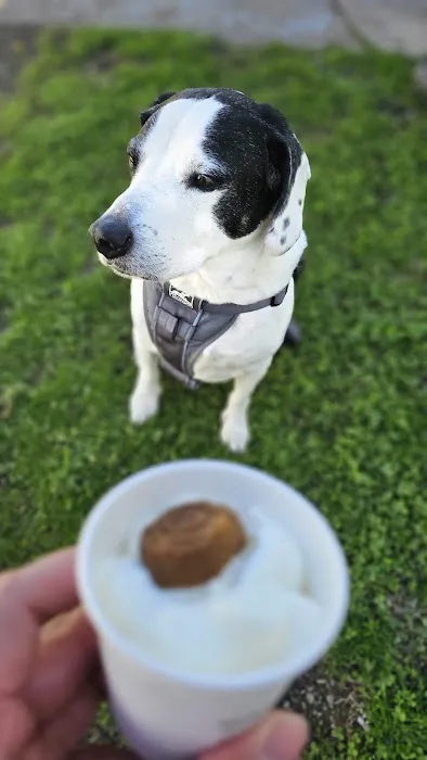 Henderson Veterinary Medical Center Picture 2