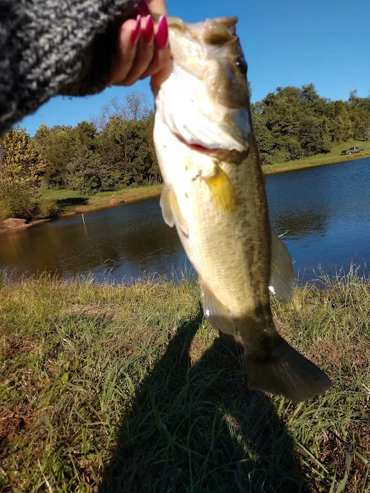 Henderson Veterinary Medical Center Picture 3