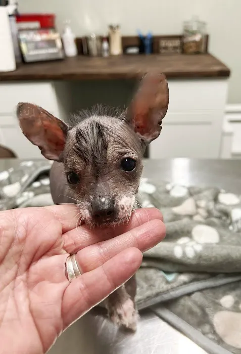 Henderson Veterinary Medical Center Picture 1