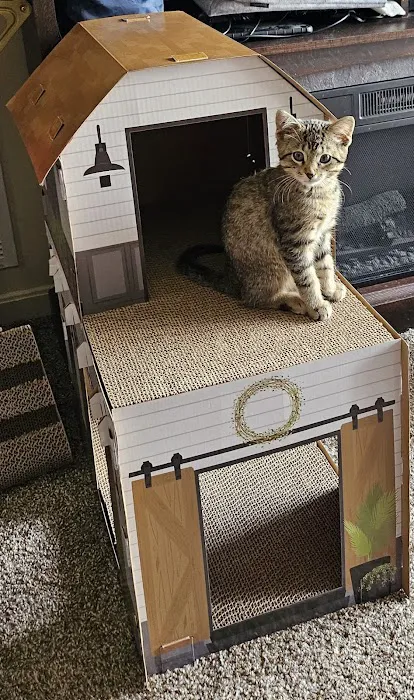 Henderson Veterinary Medical Center Picture 7