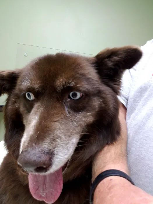 Greenville Animal Hospital Picture 7