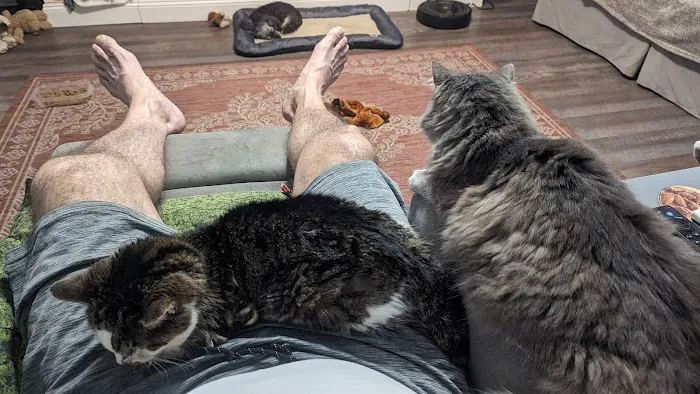 Greenville Animal Hospital Picture 4