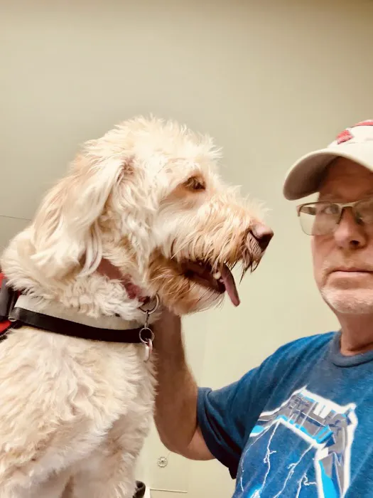 Greenville Animal Hospital Picture 9