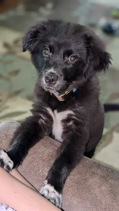 Muhlenberg County Animal Hospital Picture 1