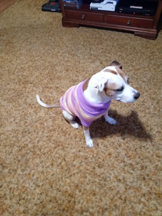 Muhlenberg County Animal Hospital Picture 3