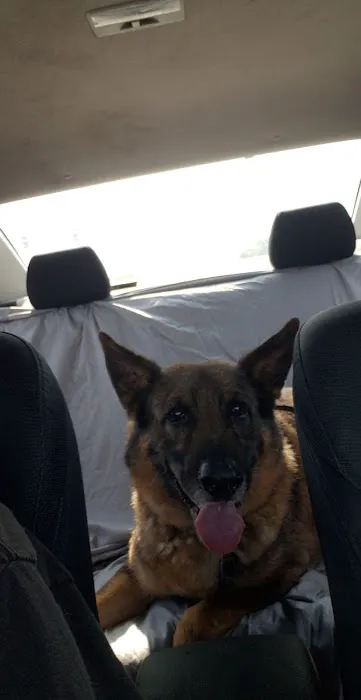 Muhlenberg County Animal Hospital Picture 6