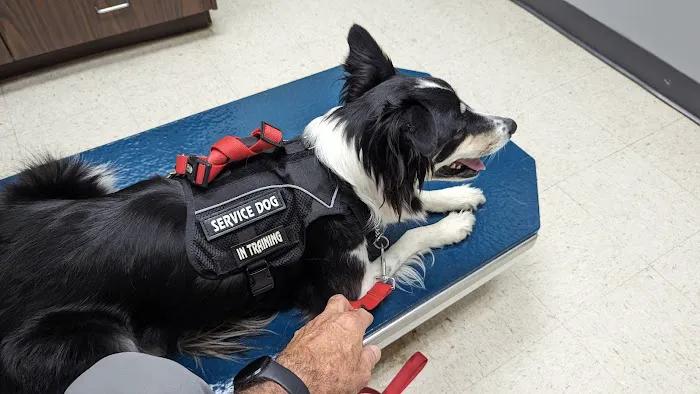 Muhlenberg County Animal Hospital Picture 5