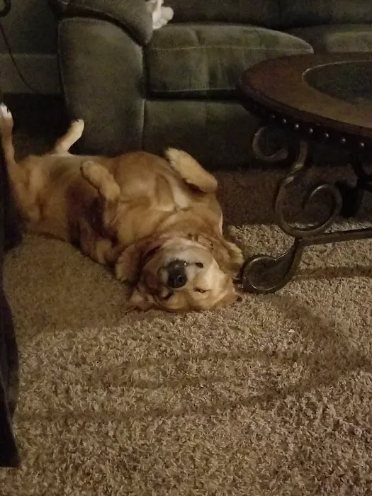 Muhlenberg County Animal Hospital Picture 8