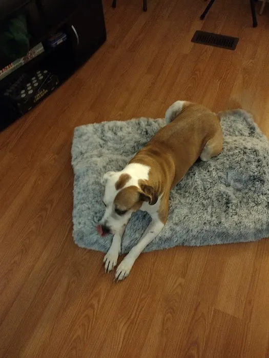 Muhlenberg County Animal Hospital Picture 7