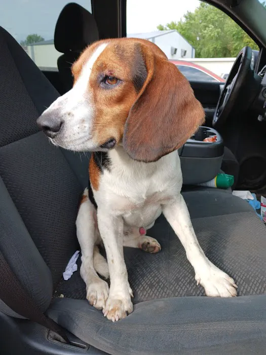 Muhlenberg County Animal Hospital Picture 9