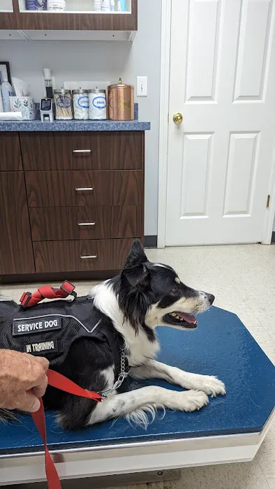 Muhlenberg County Animal Hospital Picture 10