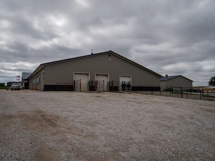 AMVC Veterinary Services Picture 2