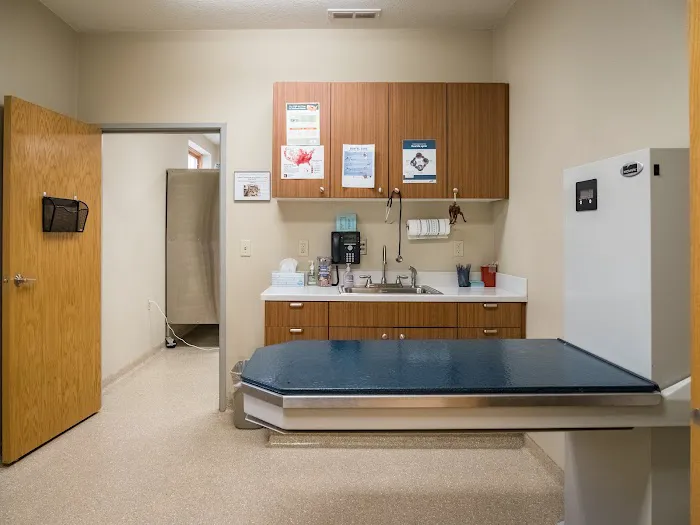 AMVC Veterinary Services Picture 9