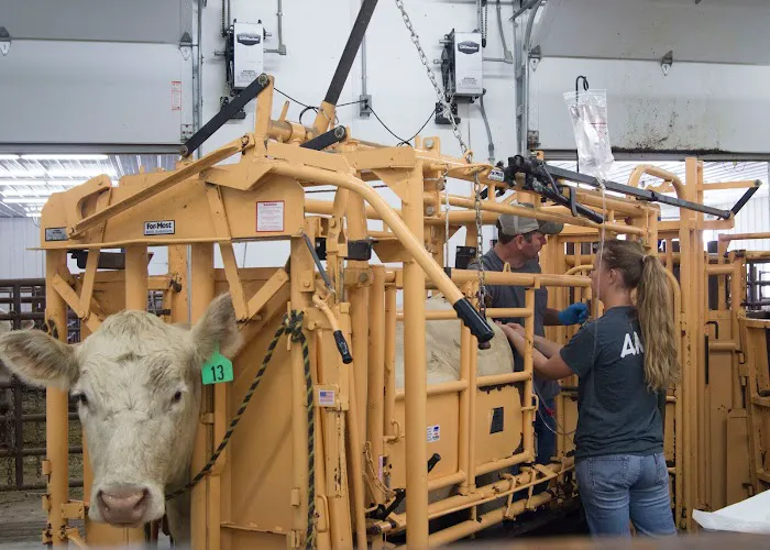 AMVC Veterinary Services Picture 7