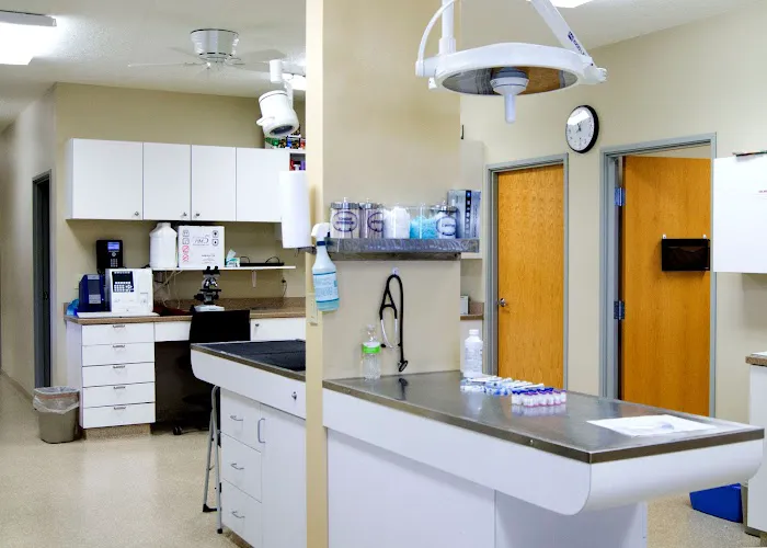 AMVC Veterinary Services Picture 6