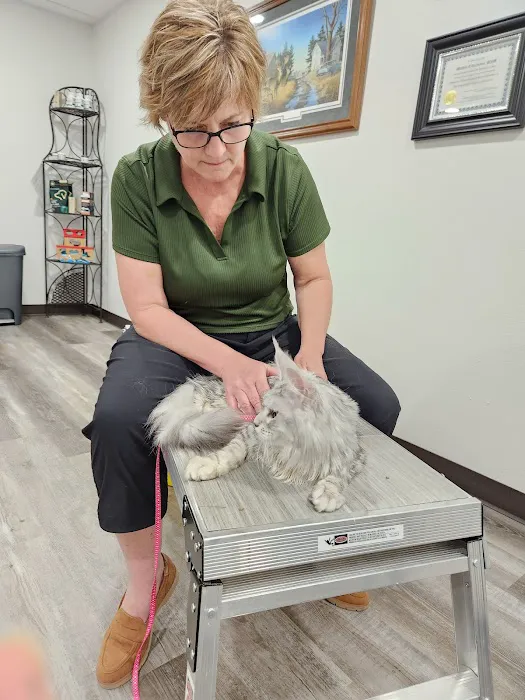 N-Balance Restorative Pet Health Picture 2