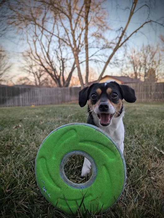 N-Balance Restorative Pet Health Picture 1