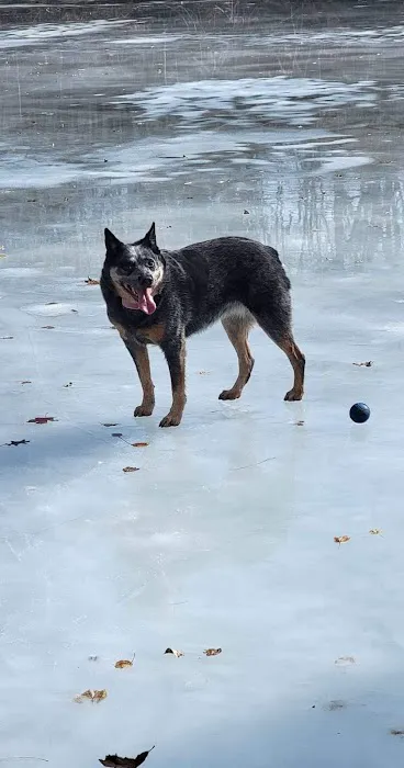 Otter Creek Veterinary Clinic Picture 1