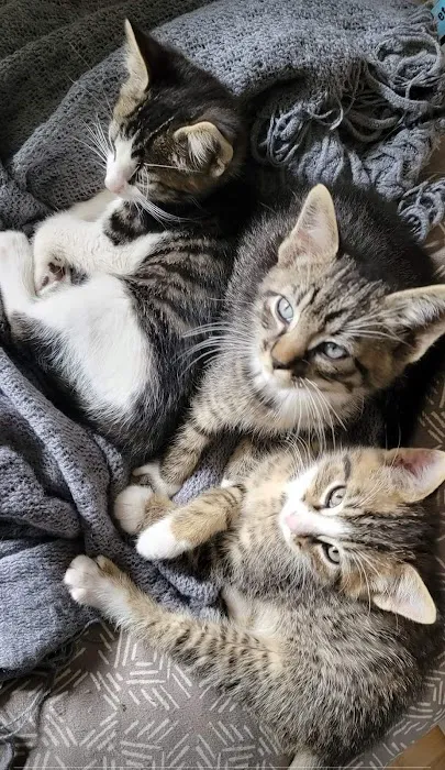 Otter Creek Veterinary Clinic Picture 3