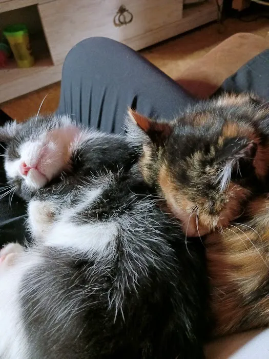 Otter Creek Veterinary Clinic Picture 2