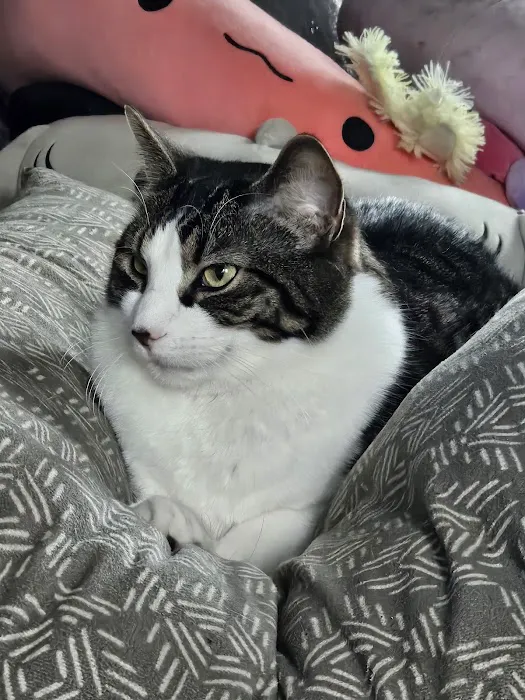 Otter Creek Veterinary Clinic Picture 4