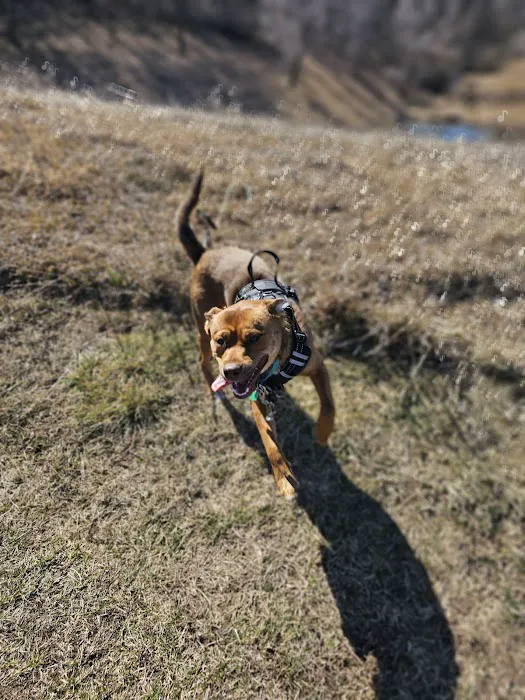 Otter Creek Veterinary Clinic Picture 5