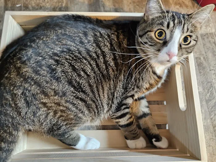 Otter Creek Veterinary Clinic Picture 6