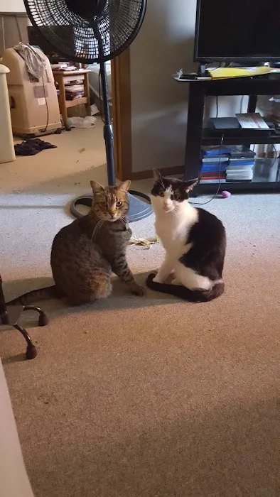 Marcus Remsen Veterinary Clinic Picture 2