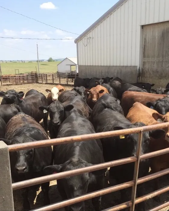 Countryside Veterinary Clinic Picture 2