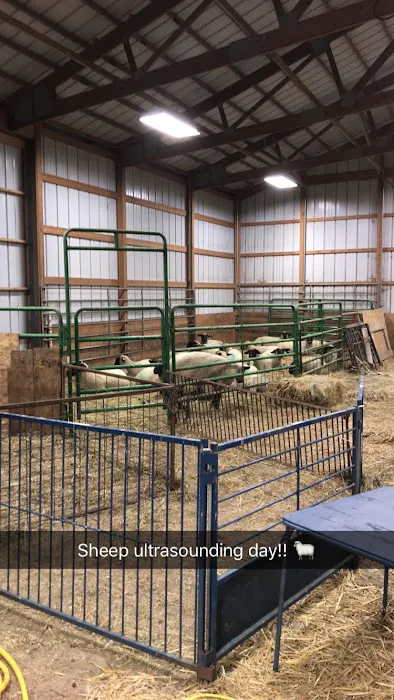 Countryside Veterinary Clinic Picture 4