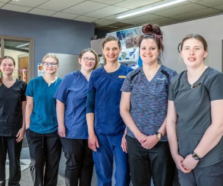 Cass County Animal Clinic