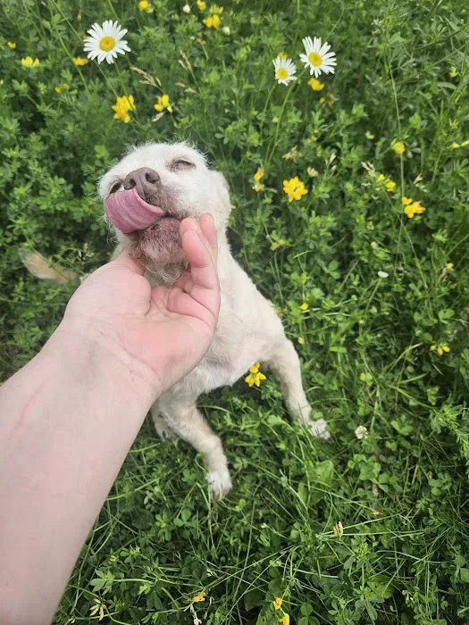 Creston Veterinary Clinic Picture 2