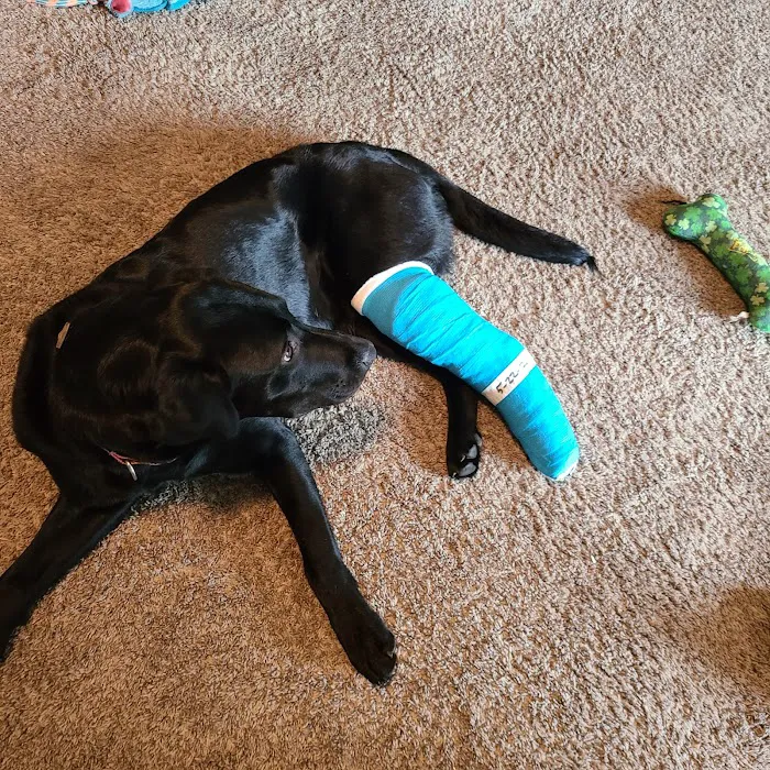 Creston Veterinary Clinic Picture 4