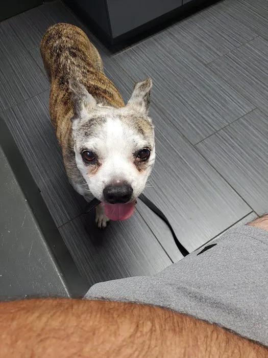 Creston Veterinary Clinic Picture 1