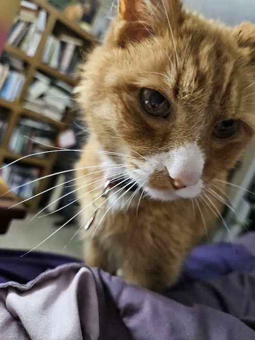 Creston Veterinary Clinic Picture 3