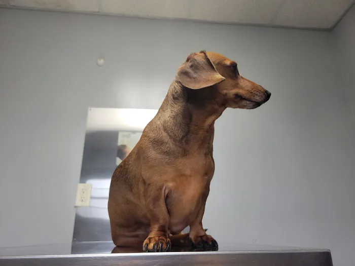 Creston Veterinary Clinic Picture 9