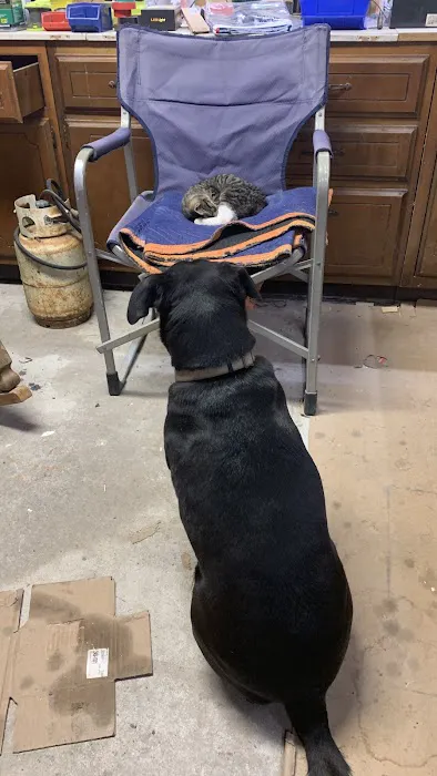 Creston Veterinary Clinic Picture 5