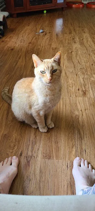 Creston Veterinary Clinic Picture 8