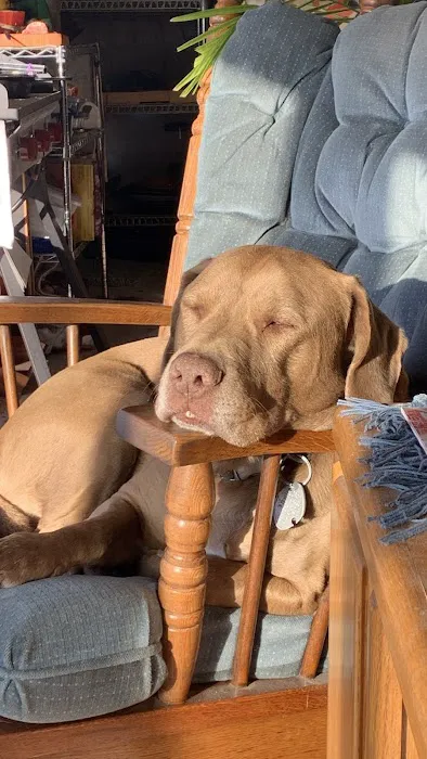 Creston Veterinary Clinic Picture 10