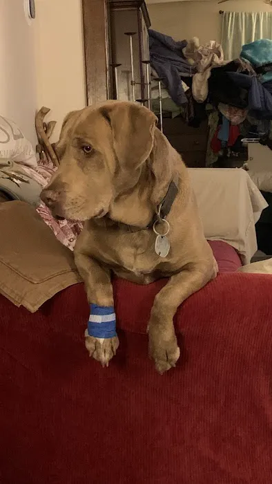 Creston Veterinary Clinic Picture 6