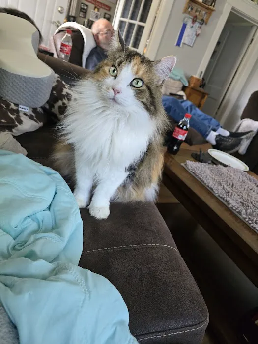 Southern Hills Veterinary Services Picture 3