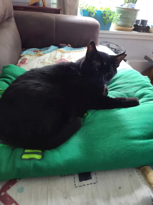 Southern Hills Veterinary Services Picture 8